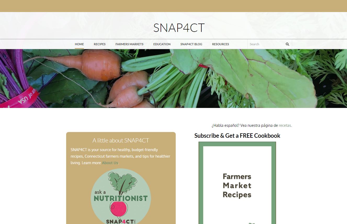 screenshot of snap4ct website