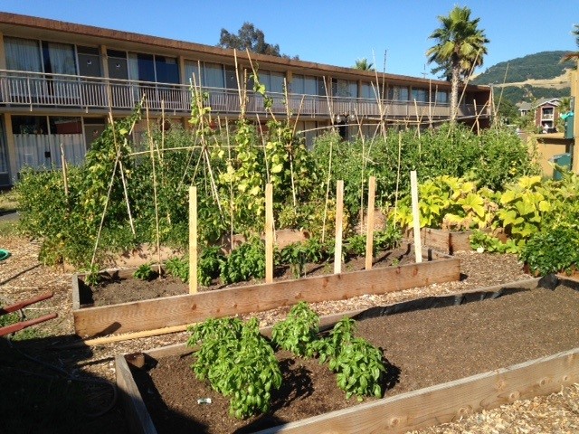 garden in front of apartment building