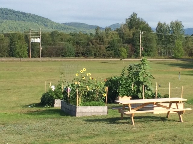 a small raised garden bed