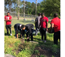 members of a fraternity help to relocate a garden
