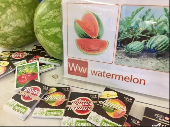 Watermelon display with watermelons in the background and other fruits and vegetable pamphlets 