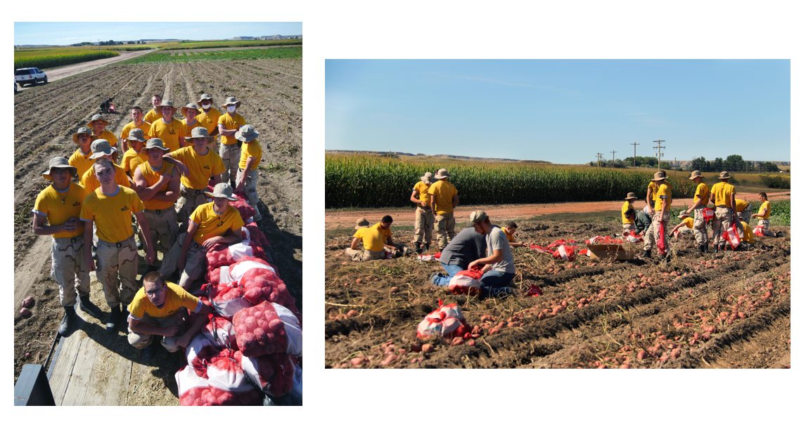 Cadets collecting potatoes and posing for a picture