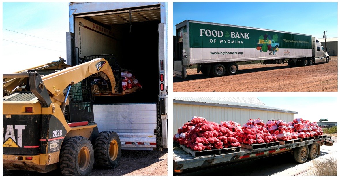 collage of loading potatoes onto Food Bank trucks