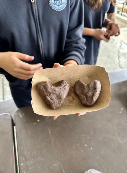 students made their own seed balls using vegetable seeds
