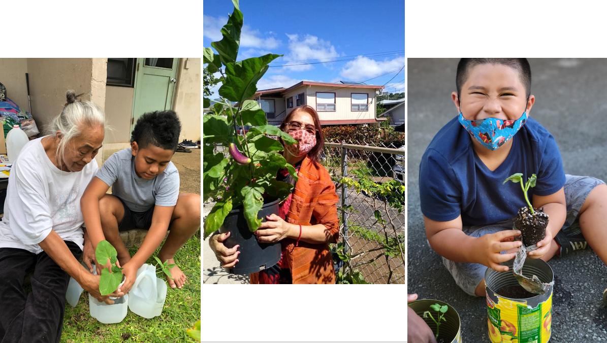 photo 1: child transplanting seedling with grandmother, photo 2: participant growing eggplant from seedling kit, photo 3: child transplanting seedling from newspaper pot into recycled container