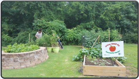 community garden with a person gardening