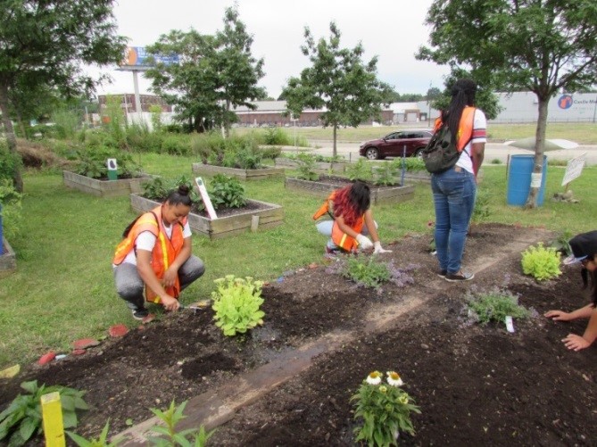 youth working in their garden