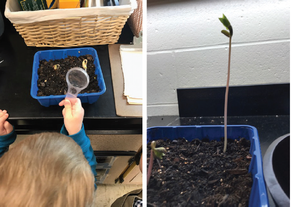 photo of a child planting a seed and watching it grow.