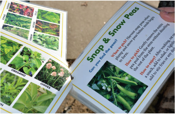 photo of information cards.