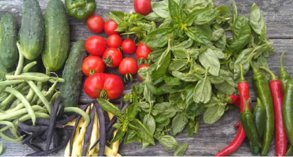 Assortment of produce from the farmers market.