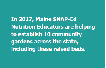 In 2017, Maine SNAP-Ed Nutrition Educators are helping to establish 10 community gardens across the state, including these raised beds.