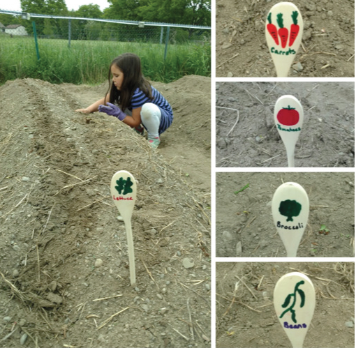 young girl planting seeds in a vegetable garden
