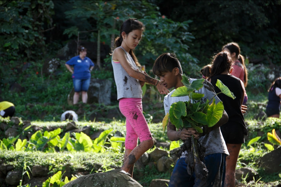 Children working in a garden