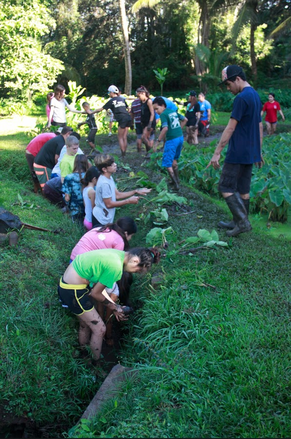 Youth gardening