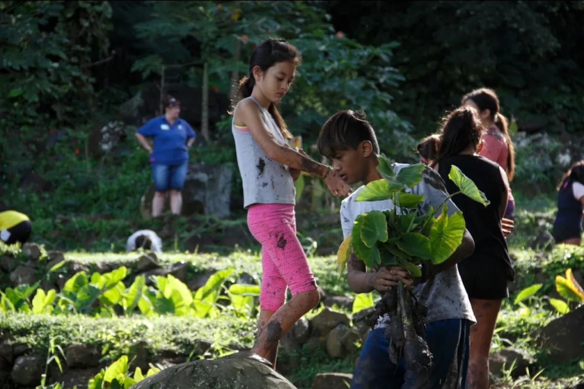 Kids working in a garden