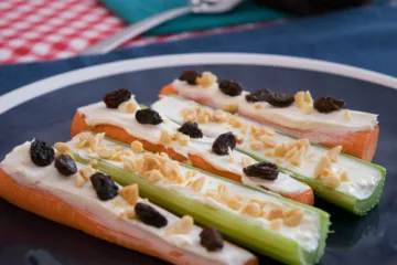 bugs on a log