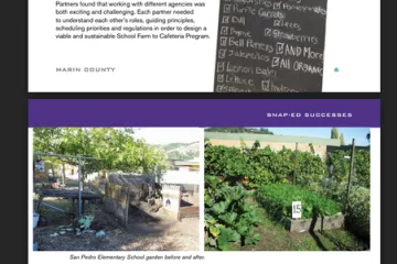 garden pictures