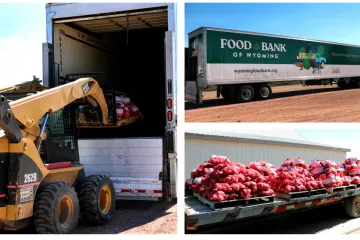 Food bank trucks being loaded with potatoes