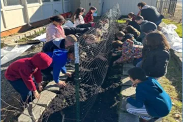 students working in a garden
