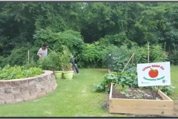 a lush garden