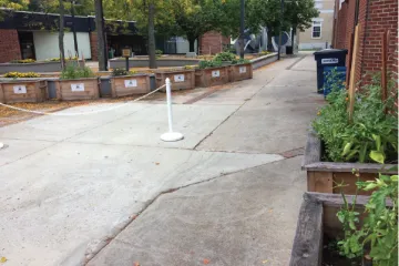 planters in an alley