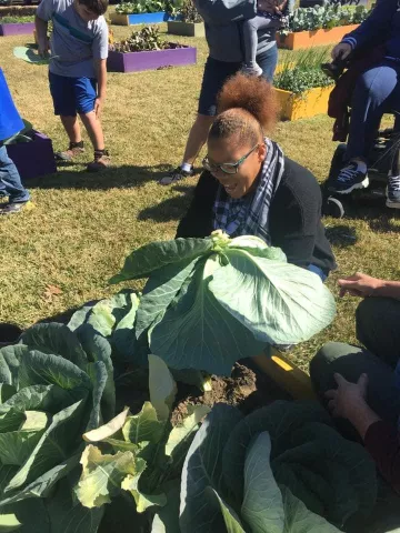 planting vegetables