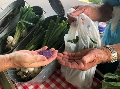 customer buying produce at the farmers market