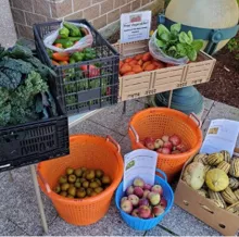 Buckets of produce