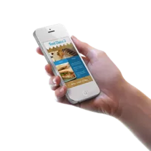 hand holding a smart phone